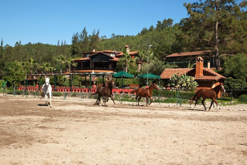 Hotel Berke Ranch&Nature Kemer Exterior foto